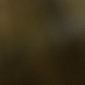 Meet your Posher, Cory